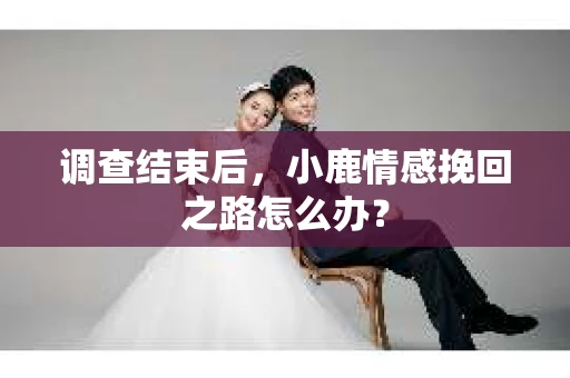 调查结束后，小鹿情感挽回之路怎么办？