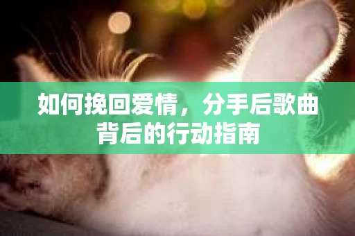 如何挽回爱情，分手后歌曲背后的行动指南