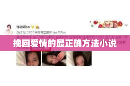 挽回爱情的最正确方法小说