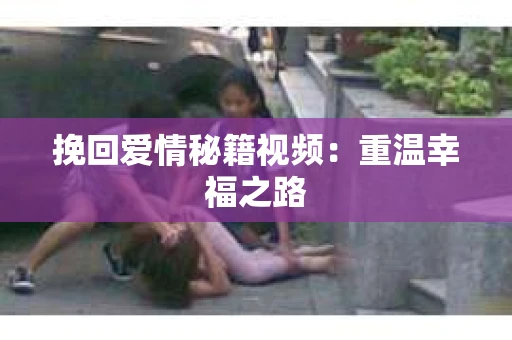 挽回爱情秘籍视频：重温幸福之路