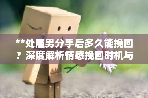 **处座男分手后多久能挽回？深度解析情感挽回时机与策略**