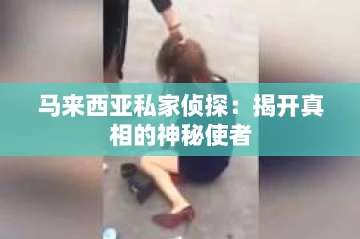 马来西亚私家侦探：揭开真相的神秘使者