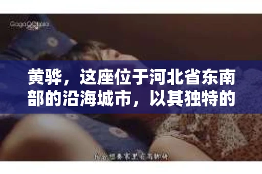 黄骅，这座位于河北省东南部的沿海城市，以其独特的地理位置和丰富的历史文化而闻名。然而，在这座城市中，还有一群人，他们以另一种方式默默守护着社会的公平与正义——私家侦探。今天，我们就来聊聊黄骅的私家侦探，看看他们是如何在这个城市中发挥作用的。