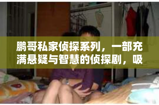 鹏哥私家侦探系列，一部充满悬疑与智慧的侦探剧，吸引了无数观众的眼球。今天，就让我带你走进这个充满神秘色彩的侦探世界，一起在线观看鹏哥私家侦探系列，感受那扣人心弦的故事情节。