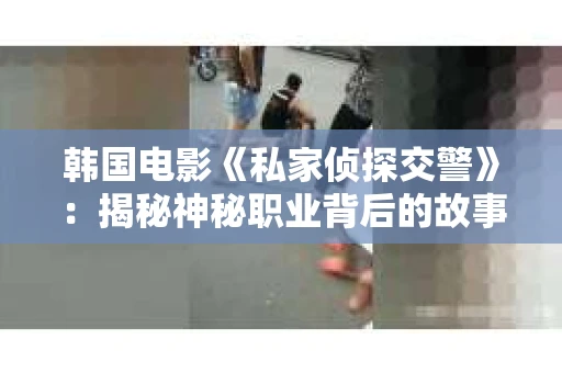 韩国电影《私家侦探交警》：揭秘神秘职业背后的故事
