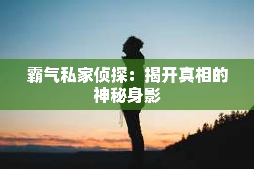 霸气私家侦探：揭开真相的神秘身影