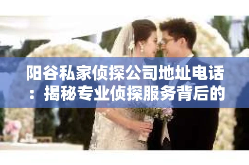 阳谷私家侦探公司地址电话：揭秘专业侦探服务背后的故事