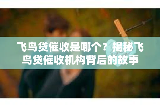 飞鸟贷催收是哪个？揭秘飞鸟贷催收机构背后的故事