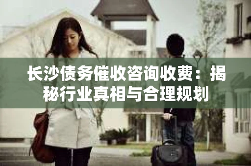 长沙债务催收咨询收费：揭秘行业真相与合理规划