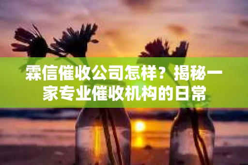 霖信催收公司怎样？揭秘一家专业催收机构的日常