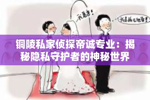 铜陵私家侦探帝诚专业：揭秘隐私守护者的神秘世界