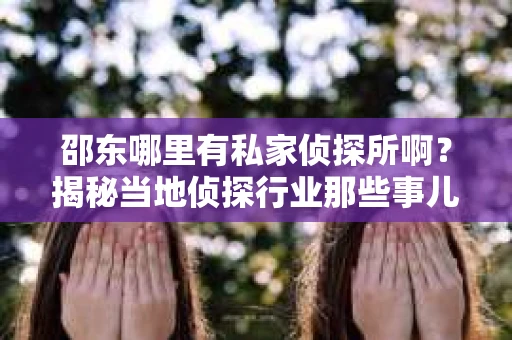 邵东哪里有私家侦探所啊？揭秘当地侦探行业那些事儿