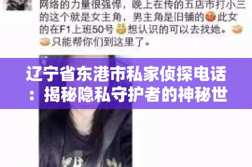 辽宁省东港市私家侦探电话：揭秘隐私守护者的神秘世界