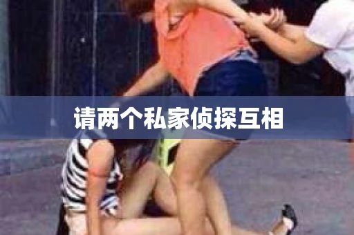 请两个私家侦探互相