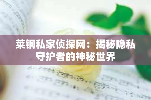 莱钢私家侦探网：揭秘隐私守护者的神秘世界