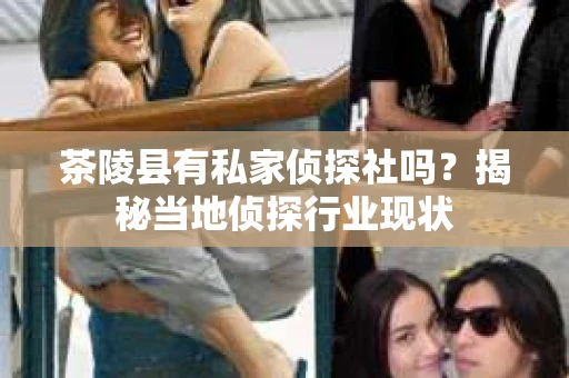 茶陵县有私家侦探社吗？揭秘当地侦探行业现状
