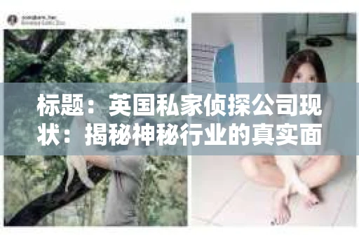 标题：英国私家侦探公司现状：揭秘神秘行业的真实面貌
