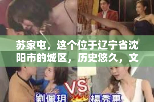 苏家屯，这个位于辽宁省沈阳市的城区，历史悠久，文化底蕴深厚。近年来，随着社会的发展，人们对于私家侦探的需求也逐渐增加。那么，苏家屯有私家侦探吗？今天，我们就来聊聊这个话题。