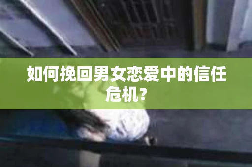 如何挽回男女恋爱中的信任危机? 如何挽回男女恋爱中的信任危机?