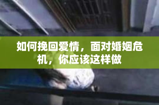 如何挽回爱情，面对婚姻危机，你应该这样做