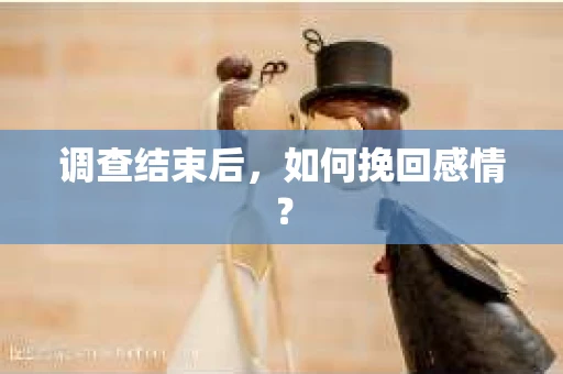 调查结束后，如何挽回感情？