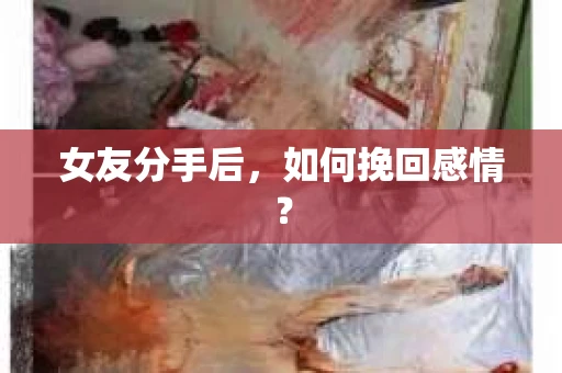 女友分手后,如何挽回感情? 女友分手后,如何挽回感情?