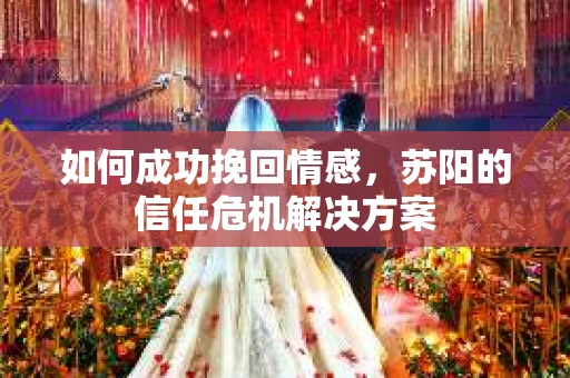 如何成功挽回情感,苏阳的信任危机解决方案 如何成功挽回情感,苏阳的信任危机解决方案