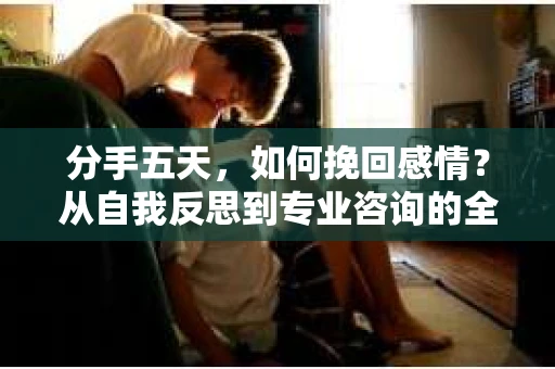 分手五天,如何挽回感情?从自我反思到专业咨询的全面解决方案 分手五天,如何挽回感情?从自我反思到专业咨询的全面解决方案