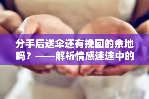 分手后送伞还有挽回的余地吗？——解析情感迷途中的决策