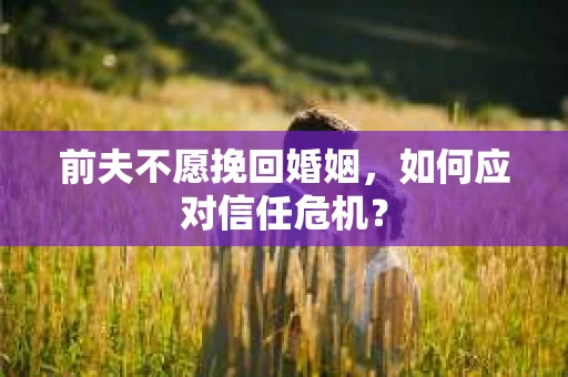 前夫不愿挽回婚姻，如何应对信任危机？