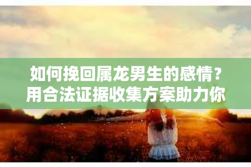 如何挽回属龙男生的感情？用合法证据收集方案助力你的努力？