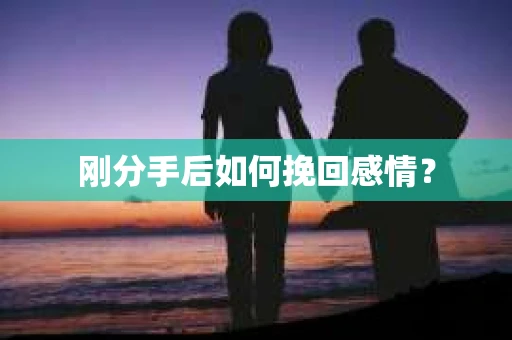 刚分手后如何挽回感情？